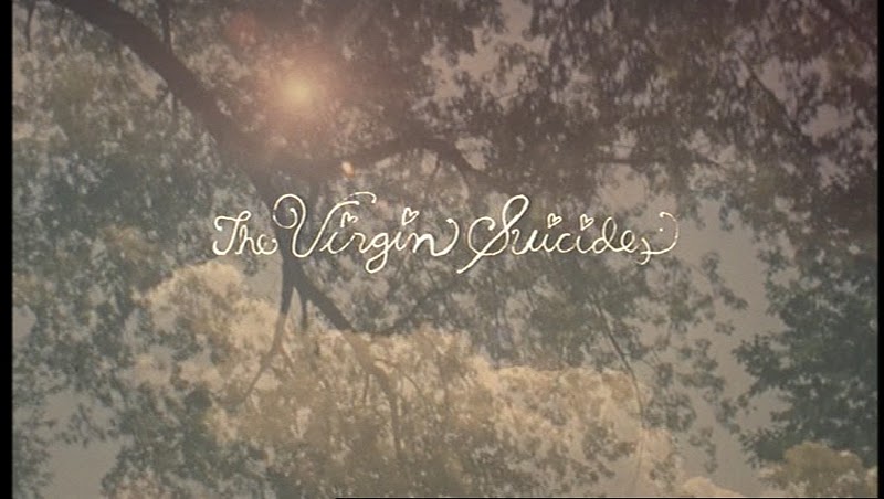 As Virgens Suicidas, Jeffrey Eugenides