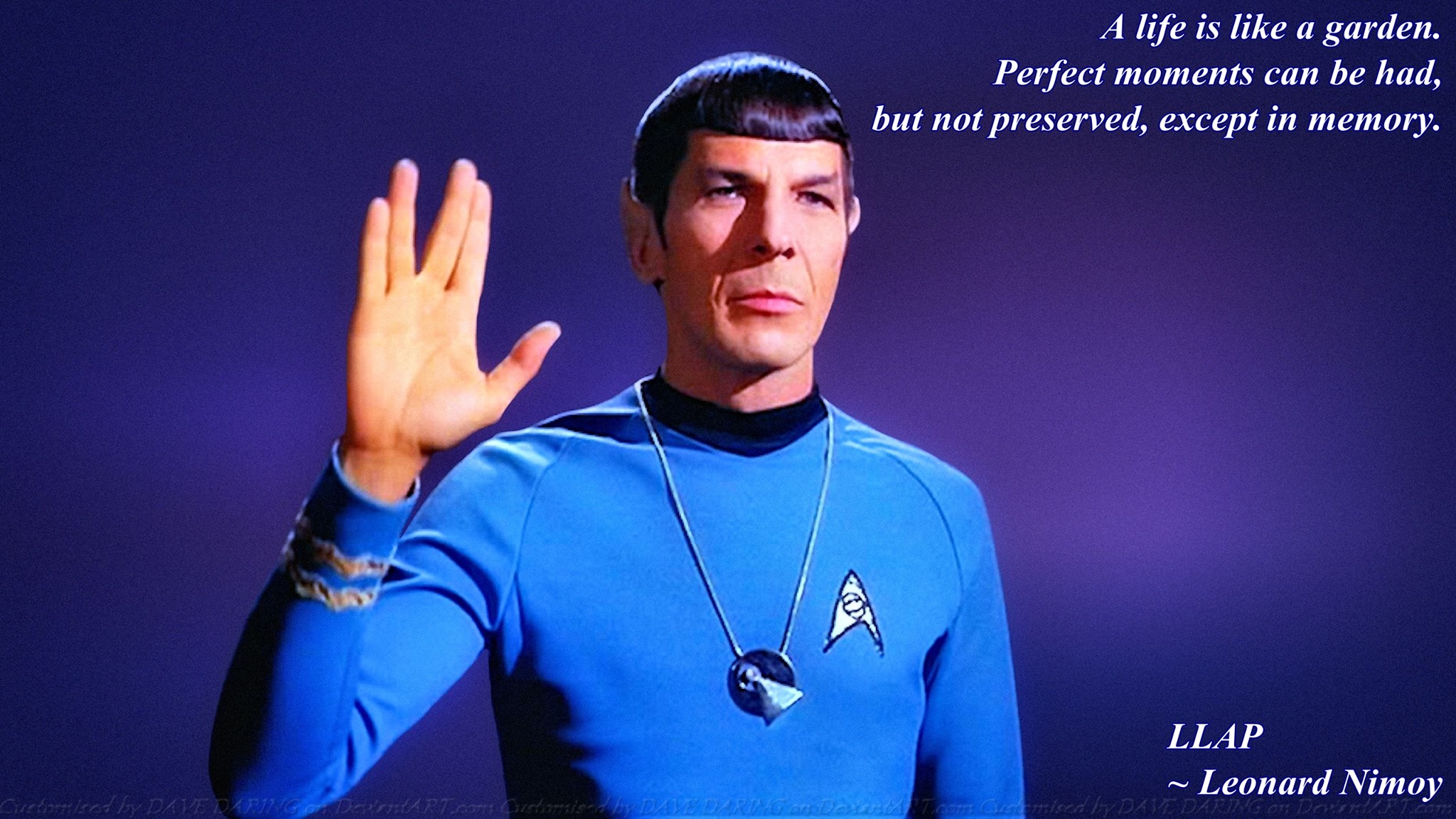 Minha vida no dia que Leonard Nimoy morreu: Um Sábado, Um Conto 25