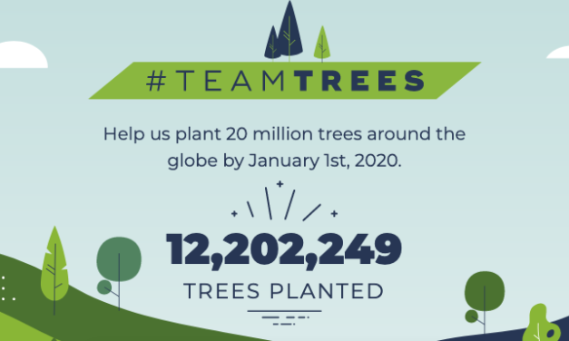 20 milhões de árvores em 2020
